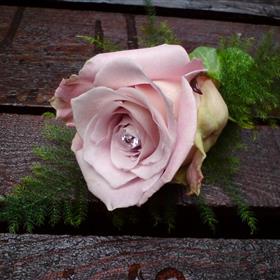 fwthumb18 pink rose buttonhole & diamante pin 6.45.jpg